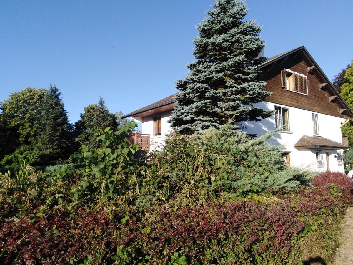 Le Domaine De Shania Provencheres-sur-Fave Екстер'єр фото